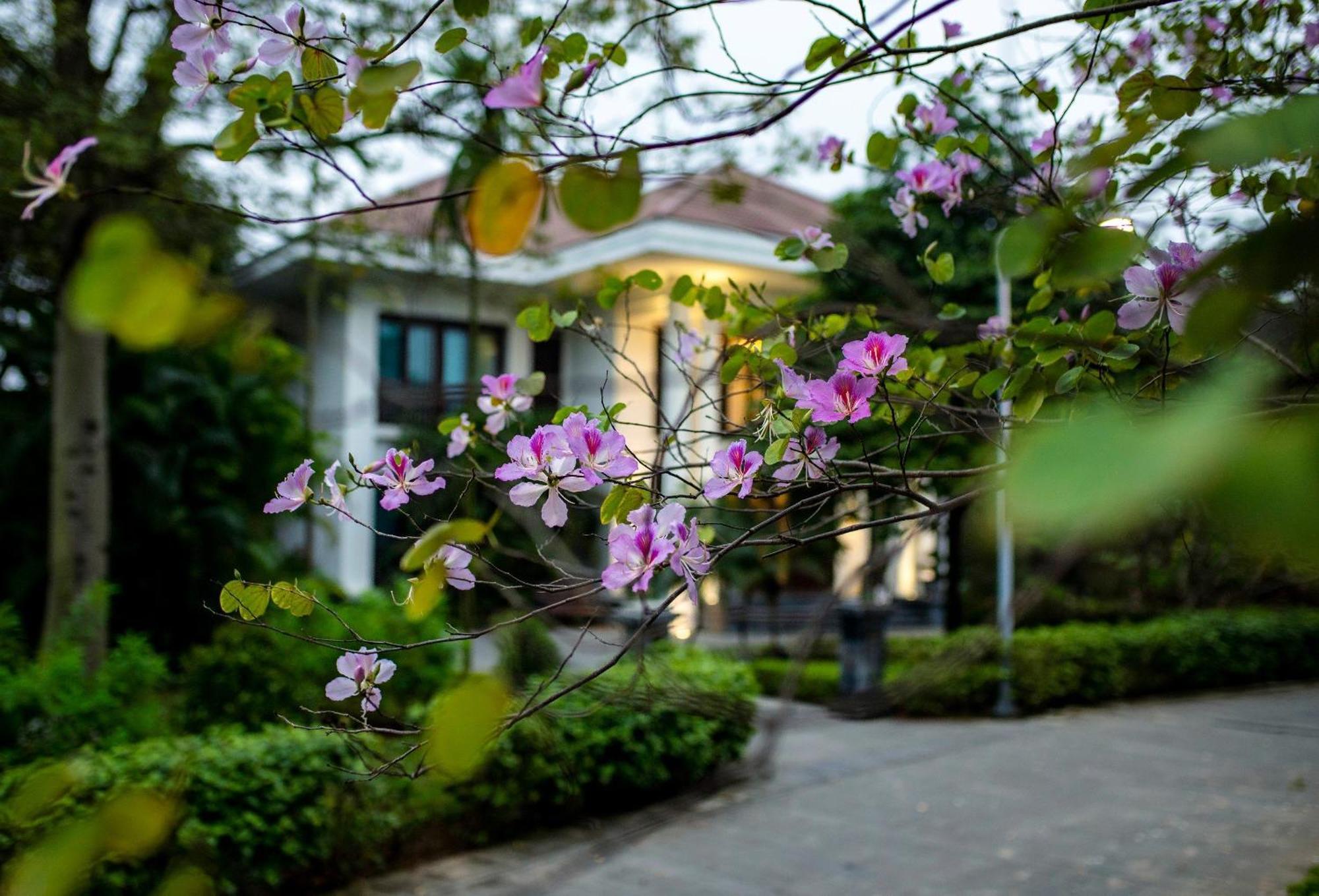 Ncc Garden Villas - Ncc Hotel Hanoi Luaran gambar